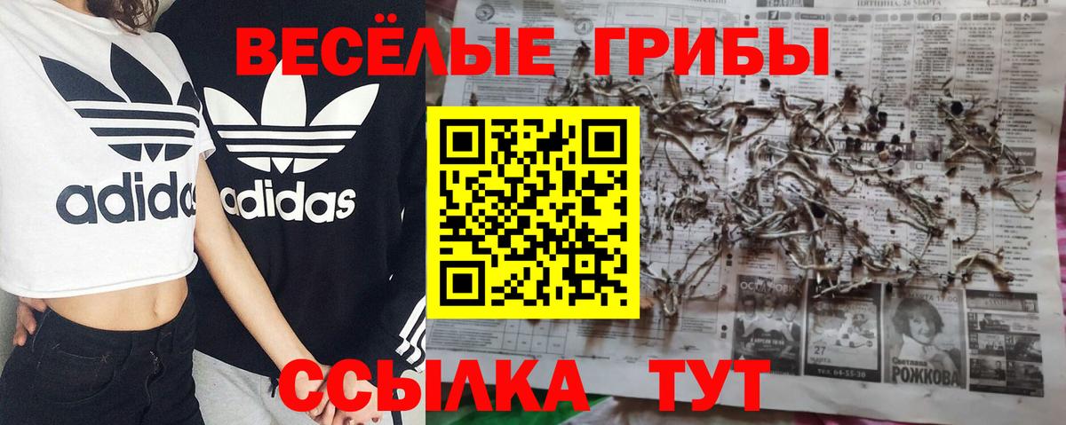 Баксан  Псилоцибиновые грибы мухоморы  Вход с VPN 