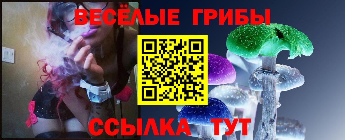 Псилоцибиновые грибы прущие грибы Баксан